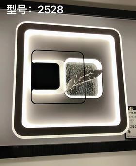 子琳 2528过道灯