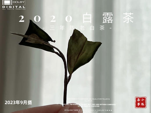 2020高山白露茶，花香隽永、浆感丰沛 商品图5