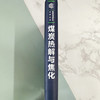 煤炭热解与焦化--煤炭清洁转化技术丛书 商品缩略图8
