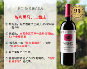 【尾货清仓，清完无补】【RP95分】智利黑马二级名庄：加西亚酒庄维格纳老藤佳丽酿旗舰干红（2017年）