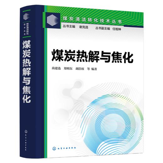 煤炭热解与焦化--煤炭清洁转化技术丛书 商品图1