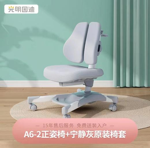 【云粉节】9楼光明园迪 A6-2正姿椅  吊牌价2580元  活动价1980元 商品图0