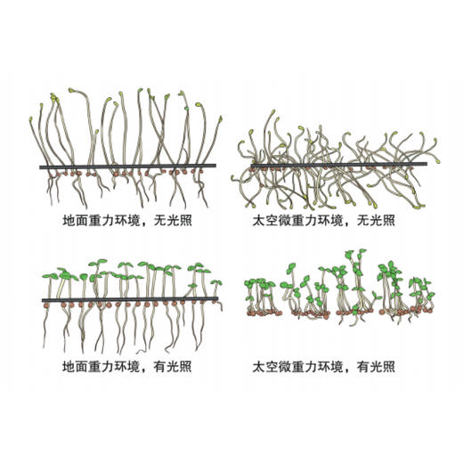 “走进天宫科普丛书”（共3册） 商品图8