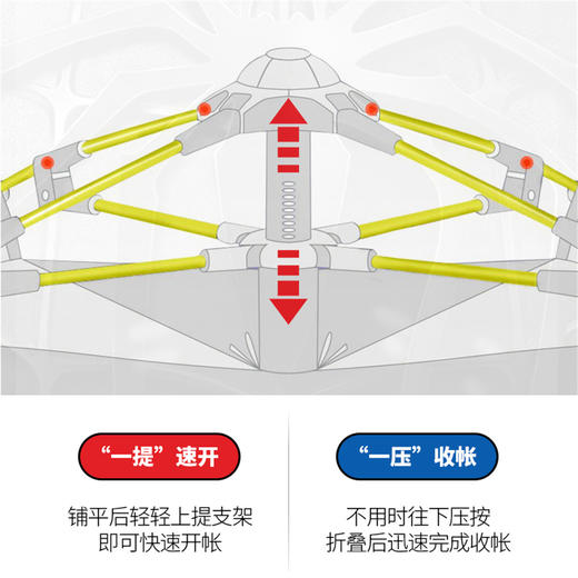 KT儿童款自动杆帐篷HFA20260 商品图4