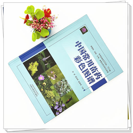 中国常用苗药彩色图谱 罗君 唐东昕 赵琳珺 主编 中国中医药出版社 333种常用苗族药  751幅原植物彩色图谱 商品图1