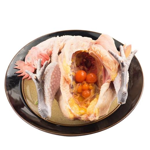 临泉林下散养两年以上老母鸡新鲜现杀活鸡4斤以上 商品图2