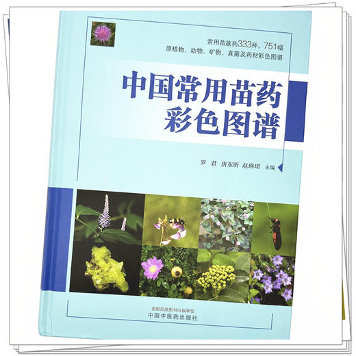 中国常用苗药彩色图谱 罗君 唐东昕 赵琳珺 主编 中国中医药出版社 333种常用苗族药  751幅原植物彩色图谱 商品图3
