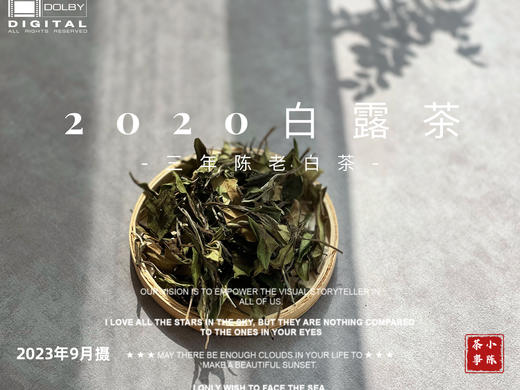 2020高山白露茶，花香隽永、浆感丰沛 商品图0