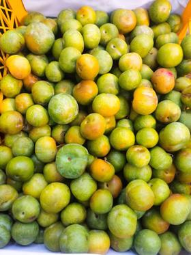 活动蜂糖蜜李2斤