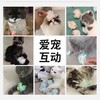 炫彩逗猫响纸球水晶花猫咪玩具解闷趣味宠物玩具塑料5cm/个 商品缩略图4