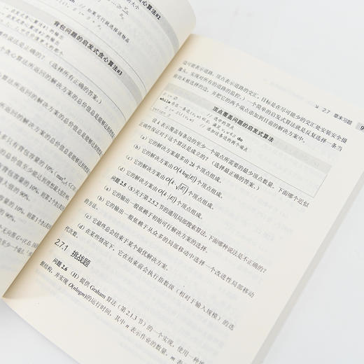 算法详解（卷4）——NP-Hard问题算法 算法数据结构启发式混合整数规划动态规划NP问题计算机科学书籍 商品图2