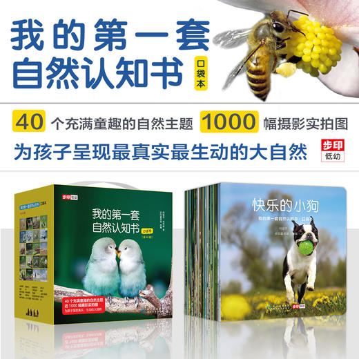 我的第一套自然认知书 口袋本（全40册） 商品图2