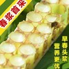 野蕊鲜蜂王浆500g/瓶 商品缩略图2