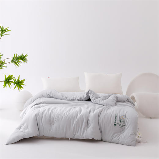 顶柔明星艾豆被，软糯亲肤好触感，舒适轻软不压身，锁温保暖更惬意 商品图2