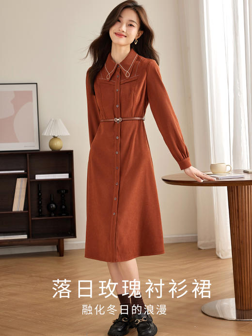 【专属特价】熙世界绒感磨绒连衣裙女长袖2025年秋冬新款高级感刺绣翻领衬衫裙 商品图2