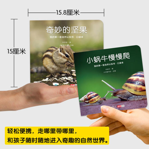 我的第一套自然认知书 口袋本（全40册） 商品图3