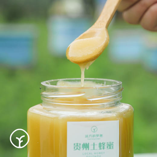 🐝贵州深山特有的蜜源馈赠，纯野山花土蜂蜜，黄果树蜂园夫子蜂蜂蜜，自然成熟，波美度42度~500g 商品图8