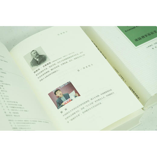 欧陆刑事诉讼史 （法）阿德玛·艾斯梅因著 郭烁等译 商品图5