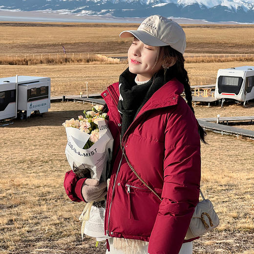 冬季新款【韩版羽绒服短款】立领加厚时尚外套  面包棉服潮  简约时尚 商品图0