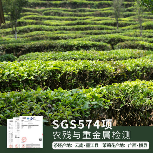 六窨无添加特级茉莉花茶茶香气鲜灵高锐 商品图2