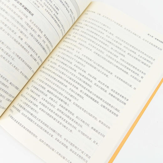 审计与内控管理工作手册 审计和内控行业的管理工作培训人员 管理参照范本和工具书 企业审计实务参考指南 商品图4