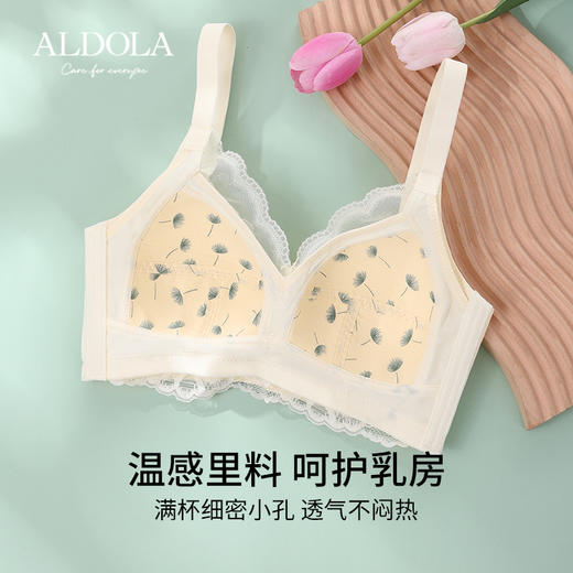 雅黛俪蕾丝内衣女轻薄舒适无钢圈一体杯固定杯聚拢显瘦文胸 商品图1