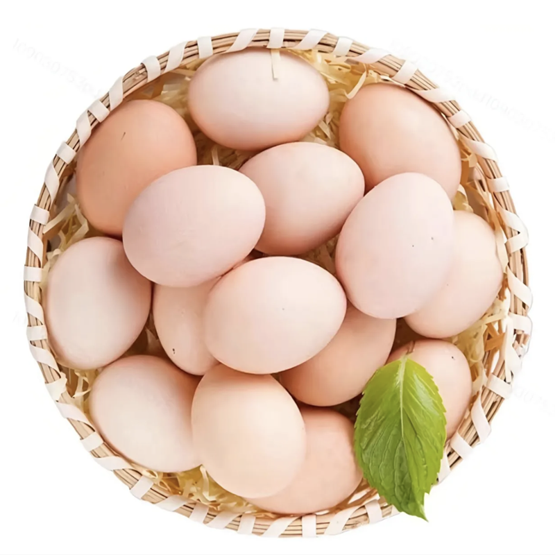 临泉农家散养土鸡蛋柴鸡蛋新鲜现捡鸡蛋
