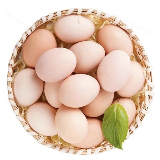 临泉农家散养土鸡蛋柴鸡蛋新鲜现捡鸡蛋 商品图0