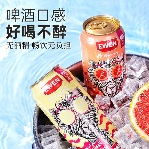 意文西柚柠檬啤酒味碳酸饮料500ml*24 商品图3