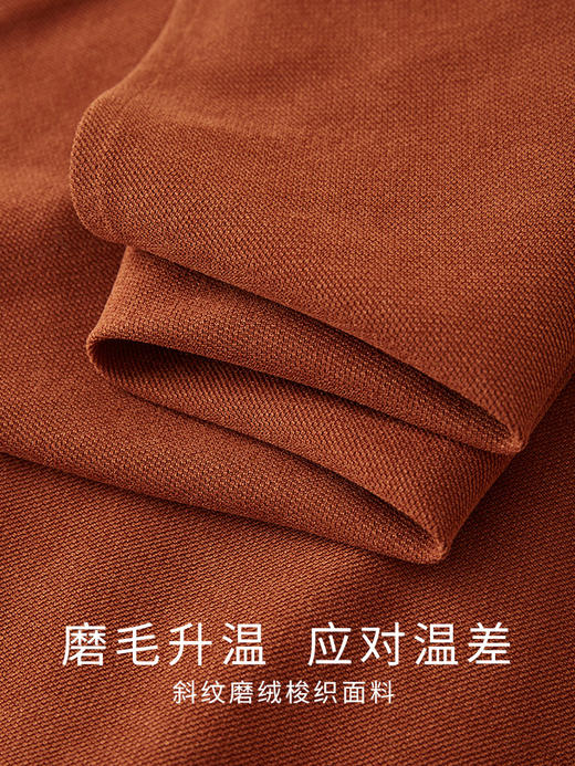 【专属特价】熙世界绒感磨绒连衣裙女长袖2025年秋冬新款高级感刺绣翻领衬衫裙 商品图3