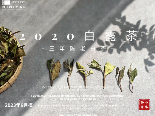 2020高山白露茶，花香隽永、浆感丰沛 商品图1