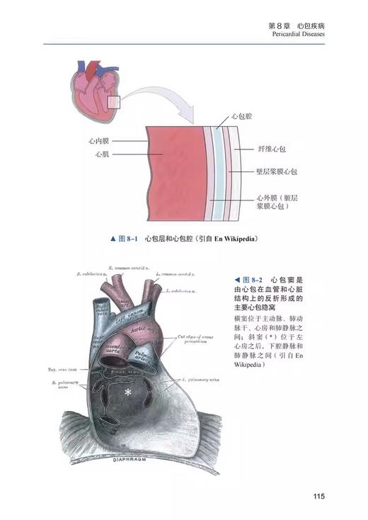 正版现货 心脏磁共振 临床应用教程及病例解析 影像医学书籍 CMR实用教程 CMR临床应用要点 中国科学技术出版社9787522127620 商品图4