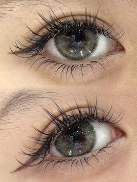 泰芒棕「含硅水凝胶」年抛型