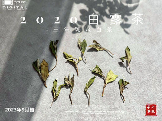 2020高山白露茶，花香隽永、浆感丰沛 商品图6