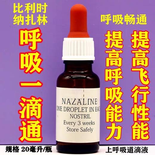 比利时纳扎林【呼吸一滴通】20毫升/信赛鸽子上呼吸道清理剂1号滴鼻 商品图0