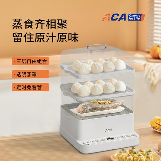 北美电器（ACA） 多用途电蒸锅 ALY-H80DZ13D 商品图0