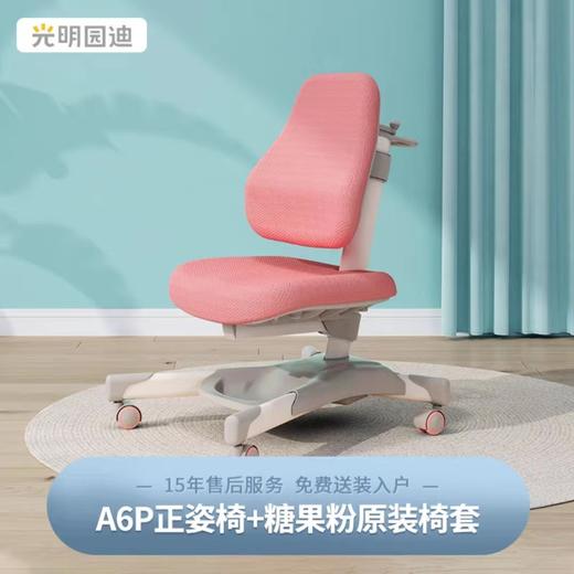 【云粉节】 9楼光明园迪 A6P正姿椅   吊牌价2580元，活动价1980元 商品图1