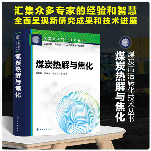 煤炭热解与焦化--煤炭清洁转化技术丛书 商品图0