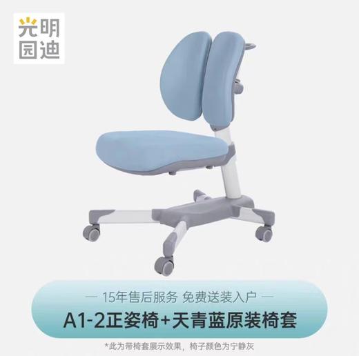 【云粉节】 9楼光明园迪 A1-2 正姿椅  吊牌价1980元 活动价1490元 商品图0