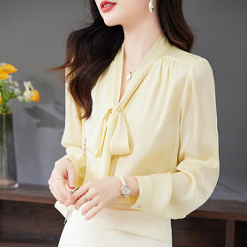 秋装新款，优雅时尚长袖真丝衬衫HR-LQSM9001