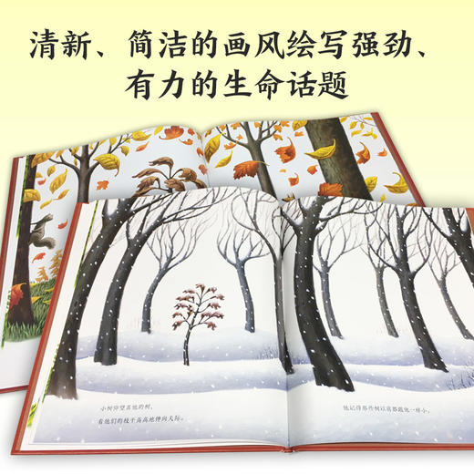 【点读版】绘本花园：小树的四季（平） 商品图4