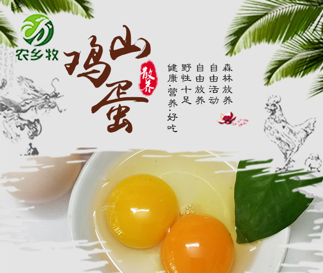 琼中山鸡蛋礼盒（40枚装）