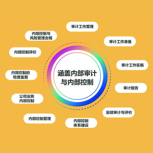 审计与内控管理工作手册 审计和内控行业的管理工作培训人员 管理参照范本和工具书 企业审计实务参考指南 商品图2
