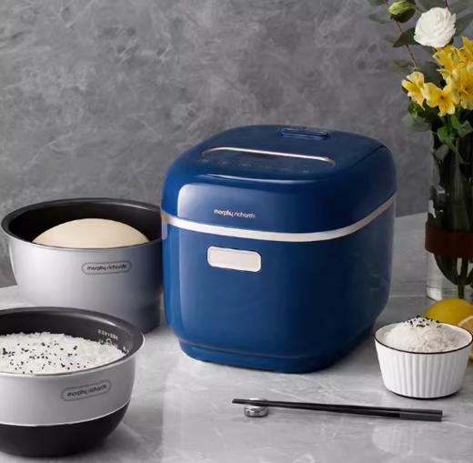 morphy richards摩飞多功能电饭煲-蓝色3L  MR8500 商品图0