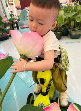 买车车，酷骑真的是最优选。