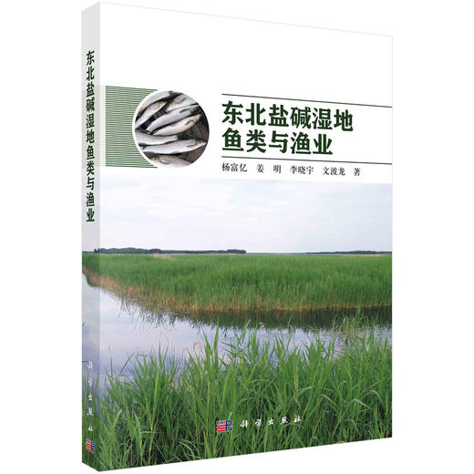 东北盐碱湿地鱼类与渔业 商品图0