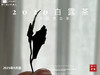 2020高山白露茶，花香隽永、浆感丰沛 商品缩略图4