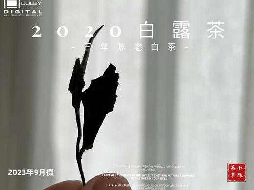 2020高山白露茶，花香隽永、浆感丰沛 商品图4