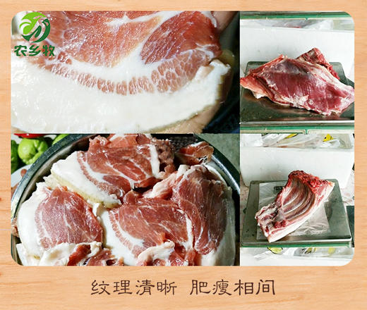 琼中五脚猪 商品图1