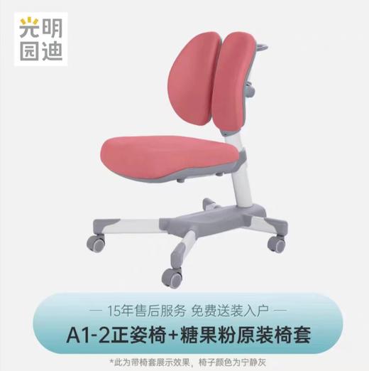 【云粉节】 9楼光明园迪 A1-2 正姿椅  吊牌价1980元 活动价1490元 商品图2